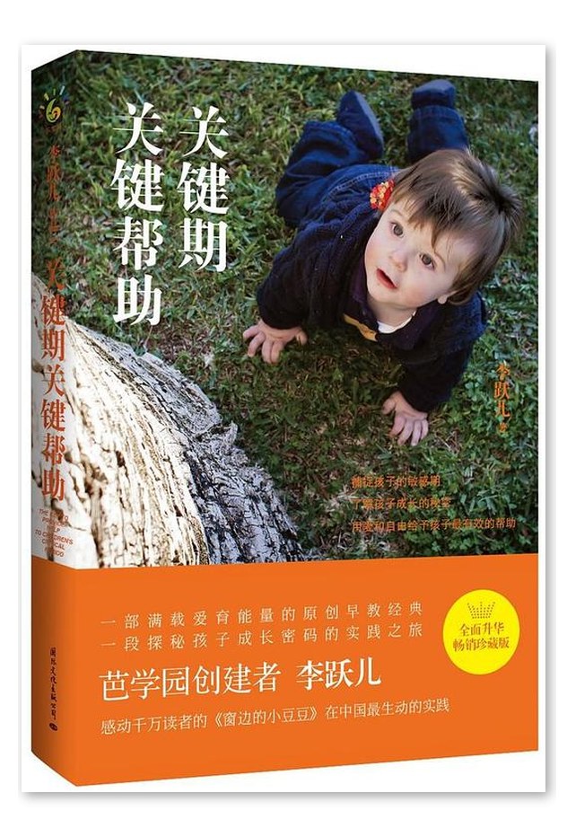 《关键期关键帮助》书籍封面